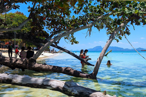 Koh Lanta: Smaragdgrot, Ko Kradan &amp; 4 eilanden per speedboot