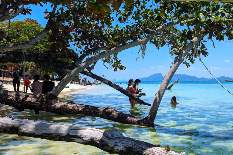 Koh Lanta: Smaragdgrot, Ko Kradan &amp; 4 eilanden per speedboot