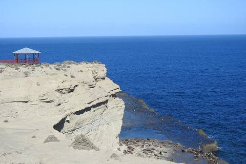 Whales in Peninsula Valdés: Coastal and Boat Whale Watching
