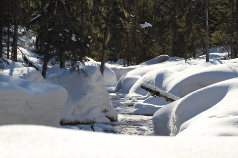 Ab Rovaniemi: Tour durch die Korouoma-Schlucht und die gefrorenen Wasserfälle