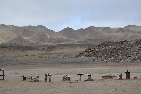 Côte des squelettes : visite guidée de Cape Cross et Henties BayCôte des squelettes : Cape Cross et Henties Bay - Visite guidée