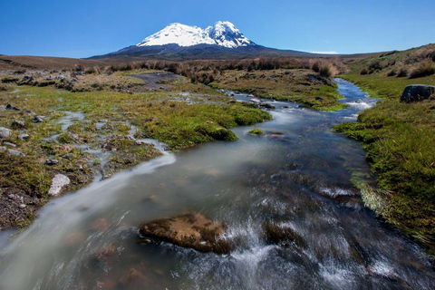 Ecuador: Birding and Cultural Tour from Quito