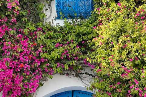 5-day tour: Berber immersion & Mediterranean elegance