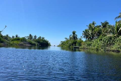 Desde Huatulco: Excursión Ecológica Cocodrilos y TortugasServicio Privado en Vehículo Avanza