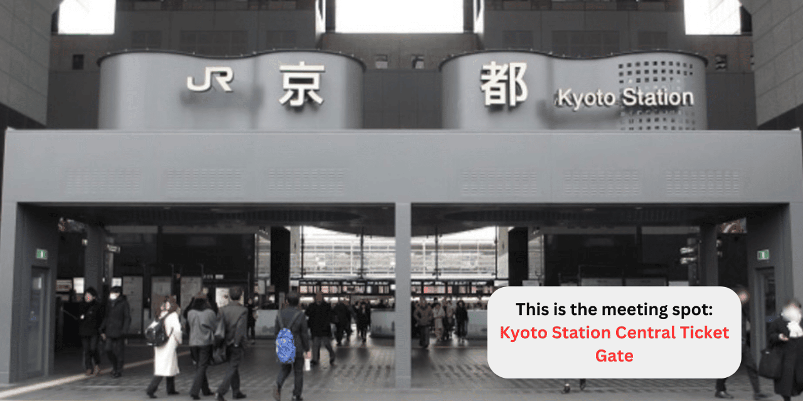 Kyoto experience — temples, geisha, bamboo grove — image 2