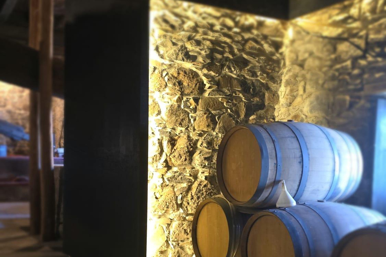 Historic Winery of Count Torre Bella Wine Tasting Tour