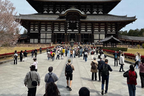 Nara Hidden Gems: Deer, Tsubosaka-dera, Kasuga & Naramachi