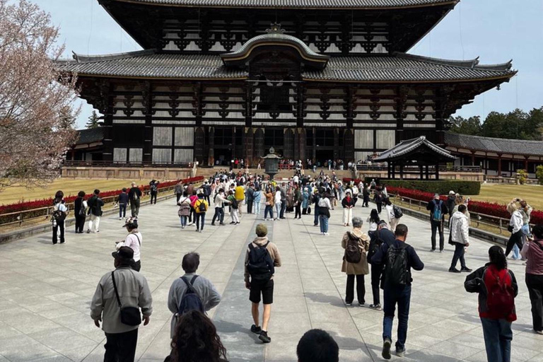 Nara Hidden Gems: Deer, Tsubosaka-dera, Kasuga & Naramachi