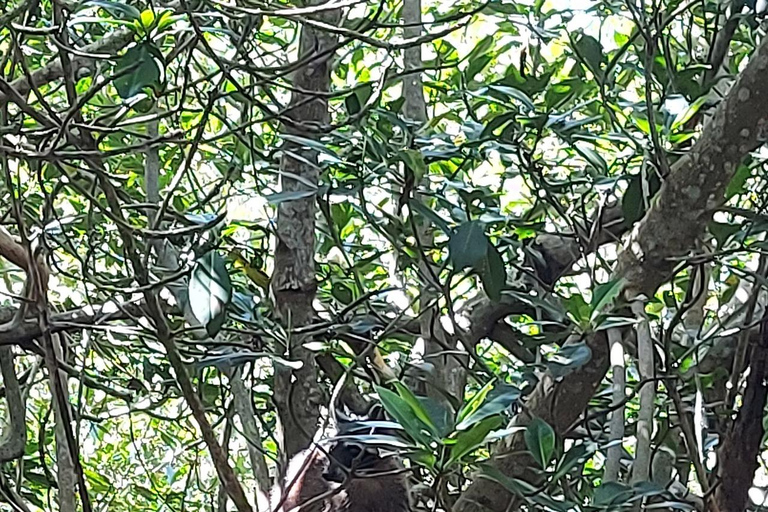 CARTAGENA: Vulkaan del totumo, Galerazamba en Manglar de la Boquilla Route