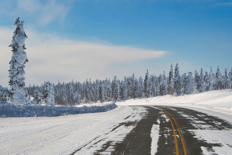 Arctic Circle & Northern Lights - Dalton Highway Winter Tour