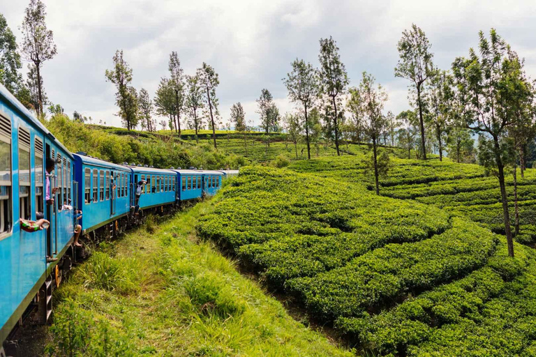 09 giorni di Sentieri del patrimonio dello Sri Lanka