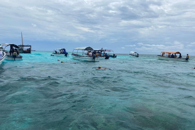 WYCIECZKA MNEMBA DOLPHIN TOUR, AKWARIUM LAGUNA I PLAŻA KENDWA