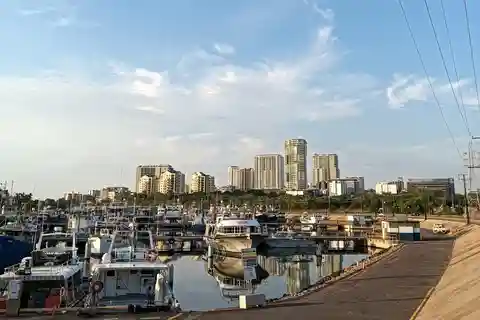 Darwin : visite privée des musées, jardins et mode de vie