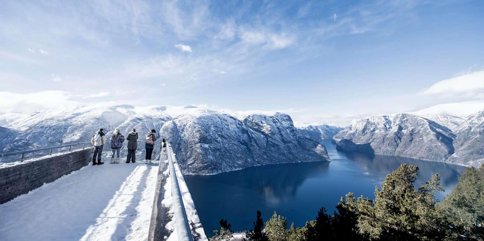 Bergen: UNESCO Fjord Cruise, Flåm & Stegastein - Incl. Lunch