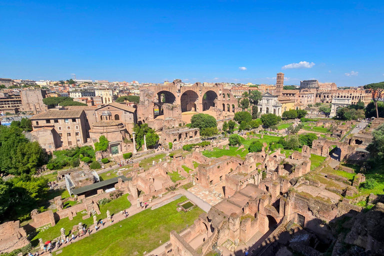 Rome: Colosseum, Roman Forum, and Palatine Hill Guided Tour Small Group