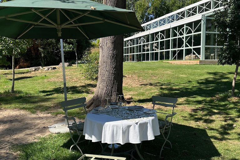 Kenya : safari privé à cheval d'une journée, luxueux et époustouflantKenya : Safari privé à cheval d'une journée, luxueux et époustouflant