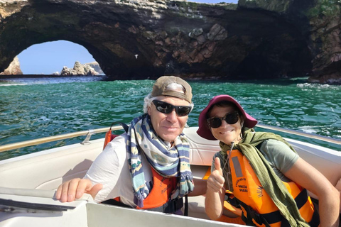Sunrise in Paracas: Private Sailing to Ballestas Islands Sunrise in Paracas: Private Sailing to the Ballestas Islands
