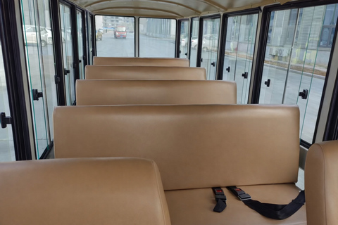 Wrocław: City Tour by electric car - Audio Guide and Photos