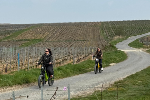 Champagne Vineyards: Tour through the heart of the vineyards on a fat tire e-bike Champagne Vineyards: Tour through the Heart of the Vines on a Fat E-Bike