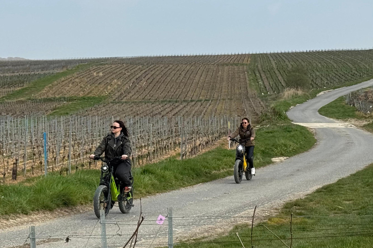 Champagne Vineyards: Tour through the heart of the vineyards on a fat tire e-bike Champagne Vineyards: Tour through the Heart of the Vines on a Fat E-Bike