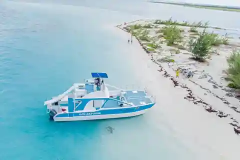 From Grace Bay: Private 4-Hour Catamaran Tour
