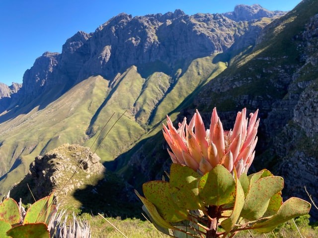 Jonkershoek Nature Reserve: Guided Panorama Trail Hike