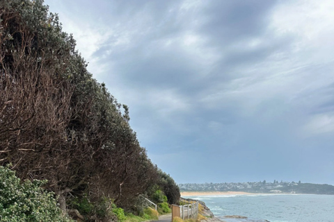Sydney: Northern Beaches Walk with Lunch at Felons Manly