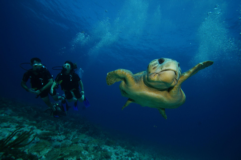 CANCUN: 2T MERGULHOS NOS RECIFES PARA MERGULHADORES CERTIFICADOS