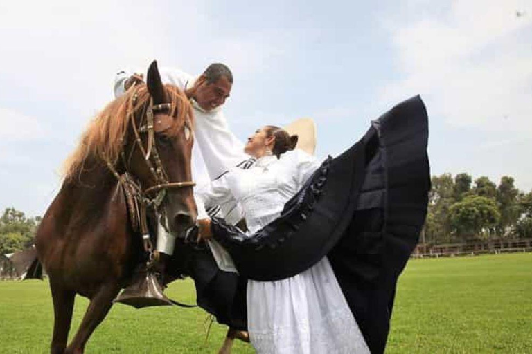 Desde Trujillo | Espectáculo de Marinera con caballos peruanos de paso