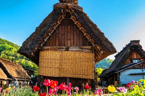 Private Nagoya & Shirakawa-go w/ English Driver Package B: Kamikochi & Taisho Pond