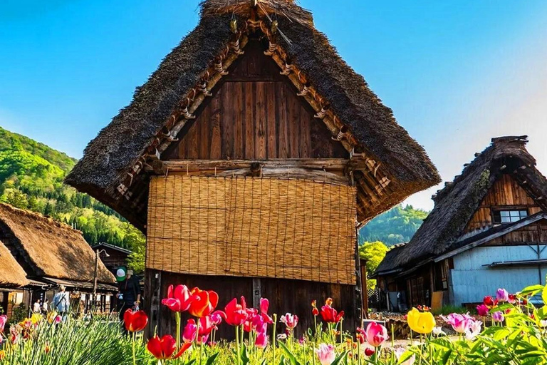 Private Nagoya & Shirakawa-go w/ English Driver Package B: Kamikochi & Taisho Pond