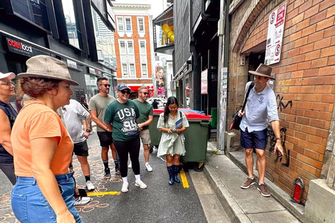 Exclusive Brisbane Tiny Door Street Art Walking Tour