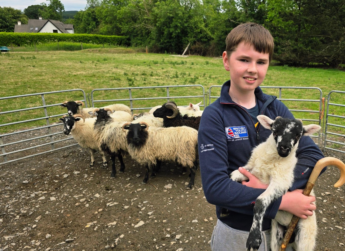 Wicklow: Hyrdeoplevelse og fårehundedemonstration