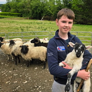 Wicklow: Shepherd Experience and Sheepdog Demonstration