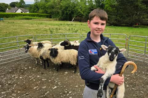 Wicklow: Shepherd Experience and Sheepdog Demonstration - Image 3