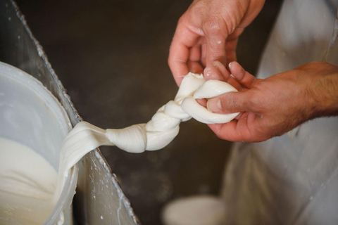 Florence: Mozzarella Making Workshop with Wine Tasting Tour in Italian