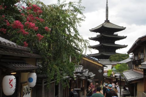 Kyoto-Nara: Grande Budda, Cervi, Pagode, "Geisya" (italiano)