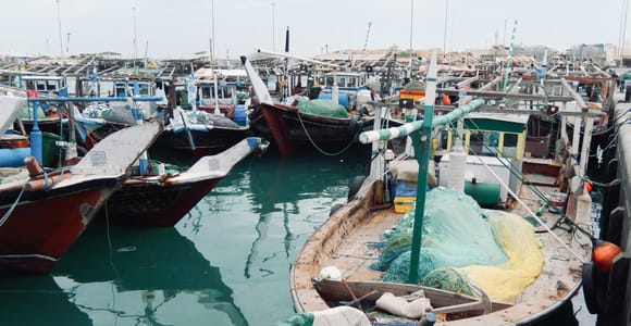 Doha: North Qatar Guide Expedition with Pickup & Drop-Off