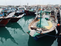 Doha, Privat Qatar, Al Zubara Fort und Purple Island Tour - Hizvo