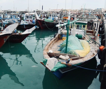 Doha: Nord-Katar Guide Expedition mit Abholung und Rücktransfer