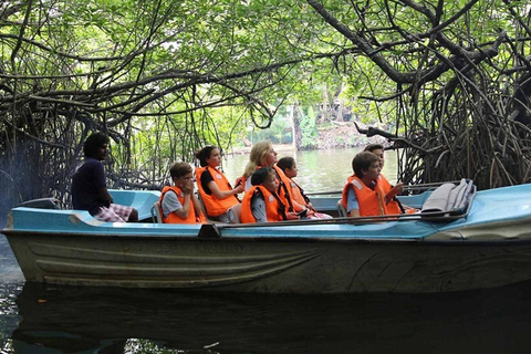 Tour della città di Bentota/Aluthgama in Tuk Tuk