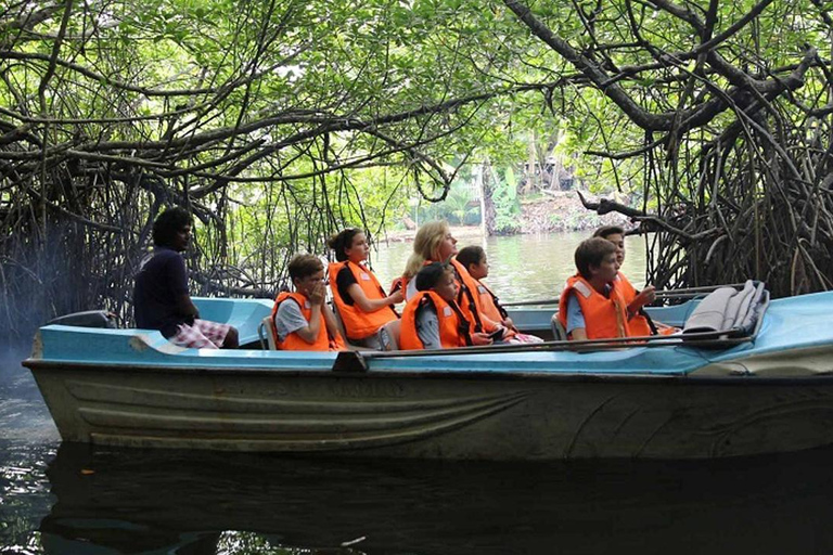 Tour della città di Bentota/Aluthgama in Tuk Tuk