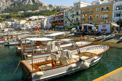 De Sorrento: Tour em pequenos grupos por Capri, terra e marDe Sorrento: Tour em pequenos grupos de Capri Terra e Mar