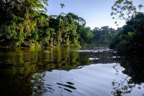 River Day Tour - Manaus + Digital Visitor Kit