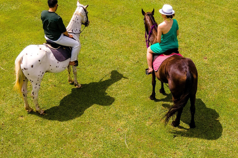 Sansibar: Schwimmen mit Pferd und Kajaktour