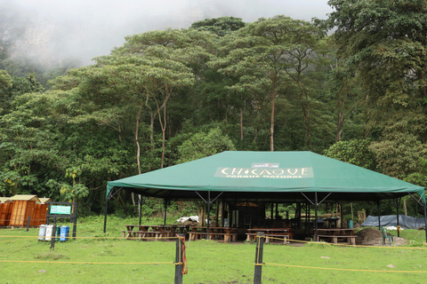 Bogota: Explore the forest and bird watching at Chicaque Natural Park