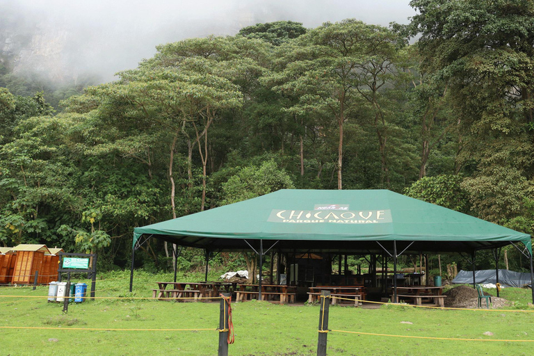 Bogota: Explora el Bosque y avista aves en Parque Natural Chicaque