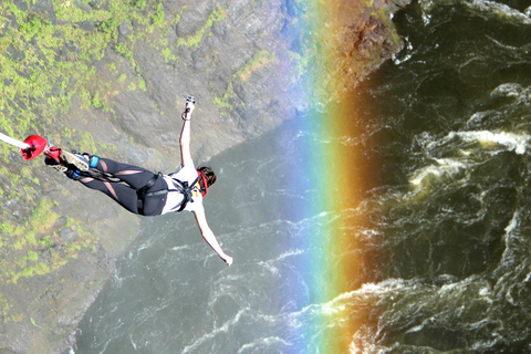 Pick up dall&#039;aeroporto e bungee jumping sul ponte di Vic Falls