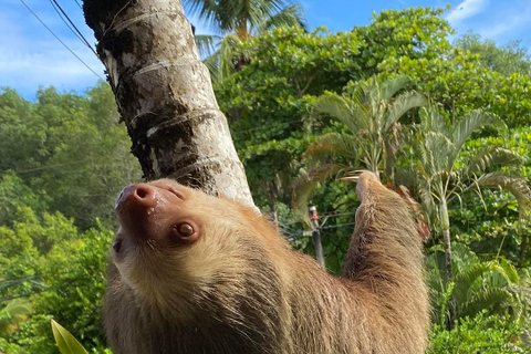 Transporte en Costa Rica