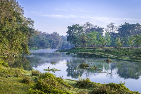 Chitwan Dschungel Safari Tour: 3-tägige Tour durch den Chitwan-Nationalpark